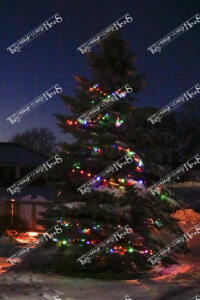 Hospice Tree of Lights (4 of 7)