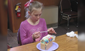 Valentine Houses at the Slayton Public Library
