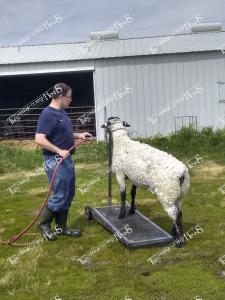 Herrig.Jake & Ewe