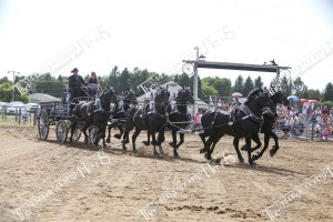 IMG 3087