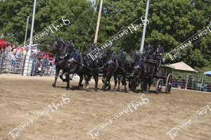 IMG 3302