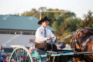 IMG 7042