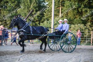 IMG 7074