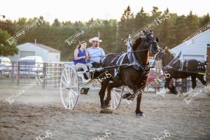 IMG 7095
