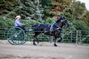 IMG 7161