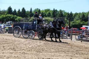 IMG 7967
