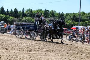 IMG 7968