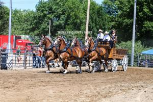 IMG 8082 (1)
