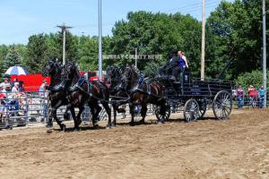 IMG 8086 (1)