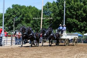 IMG 8093 (1)