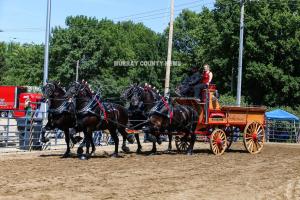 IMG 8097 (1)