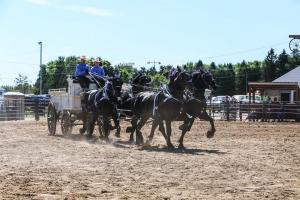 IMG 8115 (1)