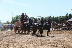 IMG 8120 (1)