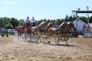 IMG 8128 (1)