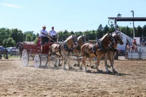 IMG 8129 (1)