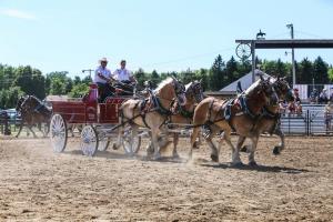 IMG 8130 (1)
