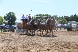 IMG 8133 (1)