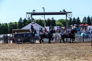 IMG 8136 (1)