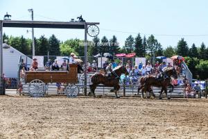 IMG 8142 (1)