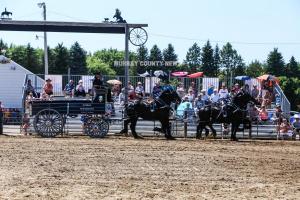 IMG 8145 (1)