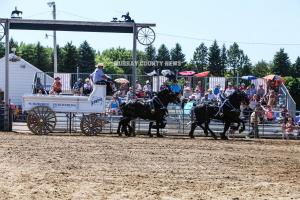 IMG 8146 (1)