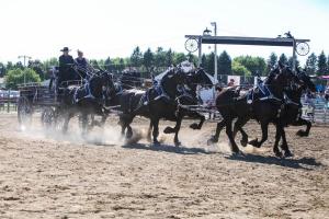 IMG 8498