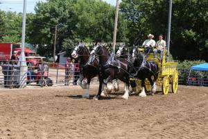 IMG 9049 (1)
