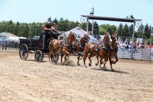 IMG 9076 (1)