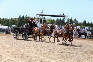 IMG 9078 (1)