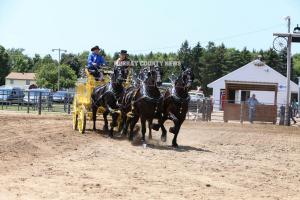 IMG 9082 (1)