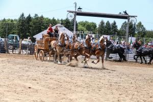 IMG 9088 (1)