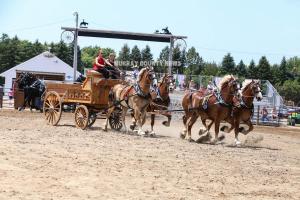 IMG 9093 (1)