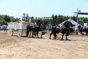 IMG 9097 (1)