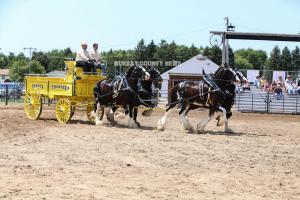 IMG 9104 (1)