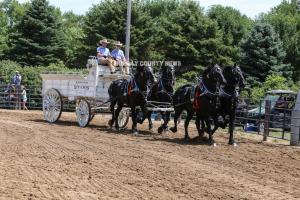 IMG 9110 (1)