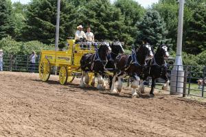 IMG 9114 (1)