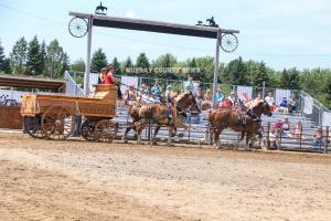 IMG 9140 (1)