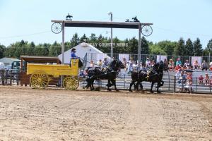 IMG 9149 (1)