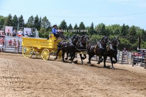 IMG 9154 (1)