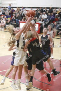 MCCgbb.shelby1
