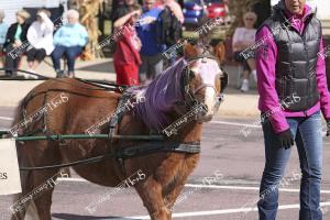Parade.18