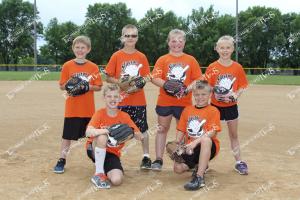 SR.AA-ball.Tigers