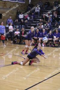 VB.IMG 4238