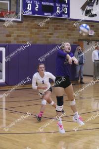 VB.IMG 4249