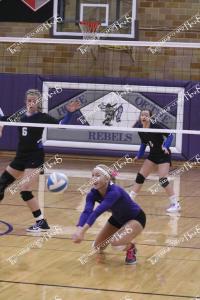 VB.IMG 4446