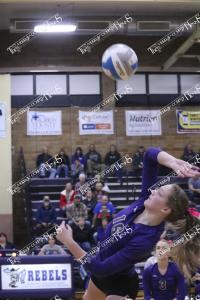 VB.IMG 4579
