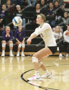 Volleyball.camdyn2