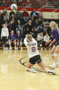 Volleyball.camdyn3