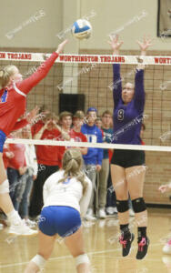 Volleyball.clarke1