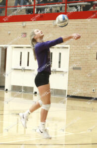 Volleyball.shelby1